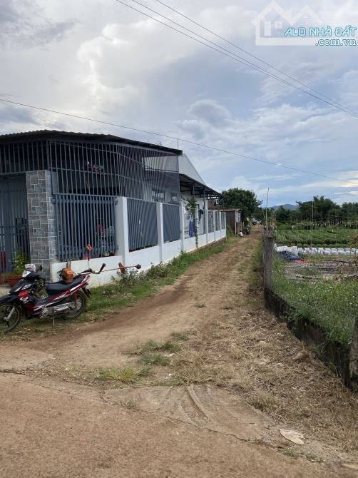 BÁN ĐẤT PHƯỜNG KHÁNH XUÂN 1ty5TR 7x30 tc Bìa riêng đường Nguyễn đăng khóa TP Buôn Ma Thuột - 3