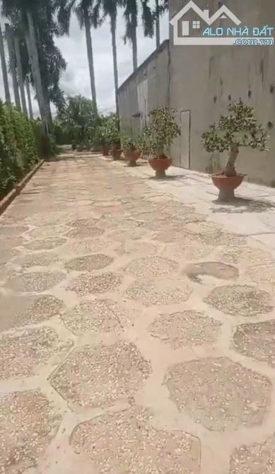 Cần bán đất mặt tiền Sông Sài Gòn xã Trung An Củ Chi 74x73 tổng 5027m2 200m thổ cư - 4