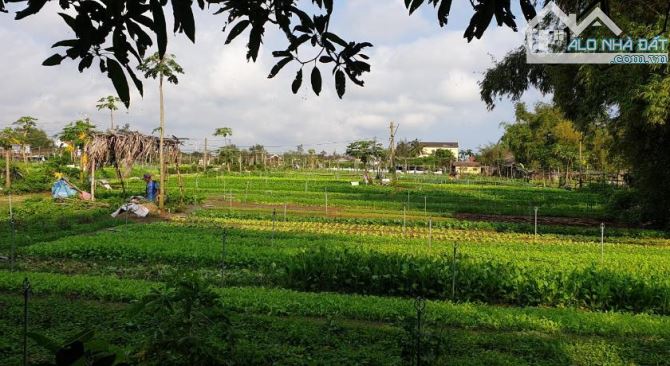 Bán lô đất cực đẹp mt Hai Bà Trưng, khu làng rau Trà Quế yên bình