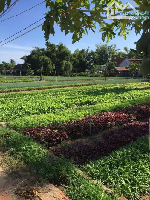 Bán lô đất cực đẹp mt Hai Bà Trưng, khu làng rau Trà Quế yên bình - 1