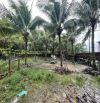Bán đất vườn dừa trung tâm Dương Đông Phú Quốc