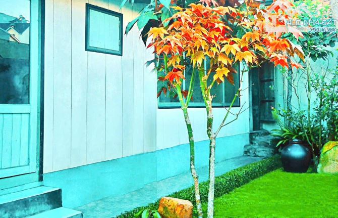 NHÀ GỖ SÂN VƯỜN AO CÁ  ĐƯỜNG Ô TÔ NGUYỄN DU ĐÀ LẠT - 1