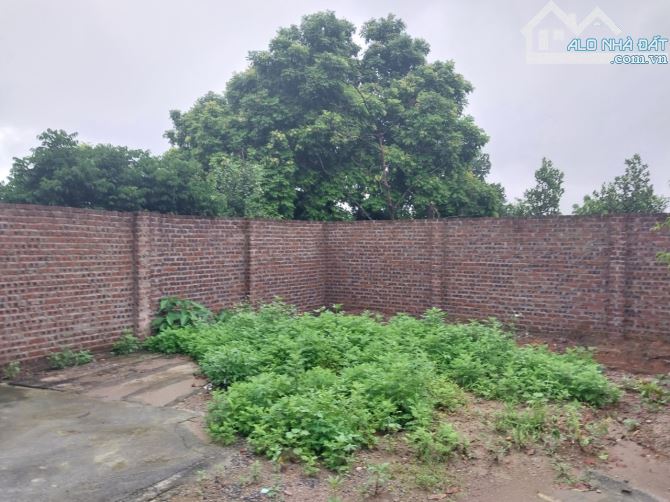 BÁN GẤP LÔ ĐẤT CÓ DT THỰC 1000m2 (100m2 ONT) SẴN NHÀ CẤP 4 CHỈ CÁCH ĐƯỜNG ĐÔNG DƯƠNG 100m - 4