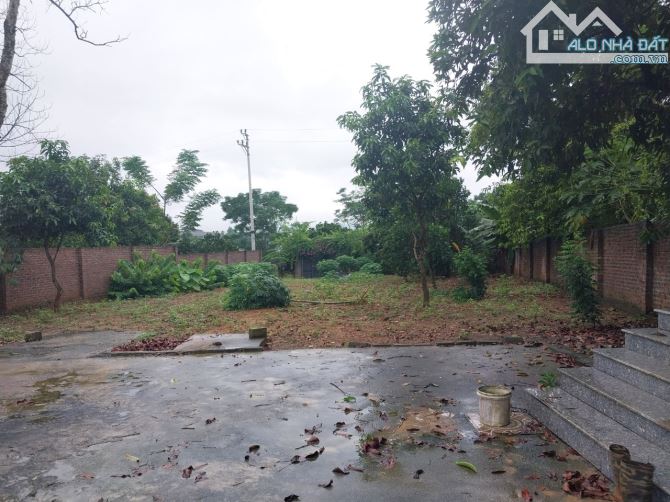 BÁN GẤP LÔ ĐẤT CÓ DT THỰC 1000m2 (100m2 ONT) SẴN NHÀ CẤP 4 CHỈ CÁCH ĐƯỜNG ĐÔNG DƯƠNG 100m - 7