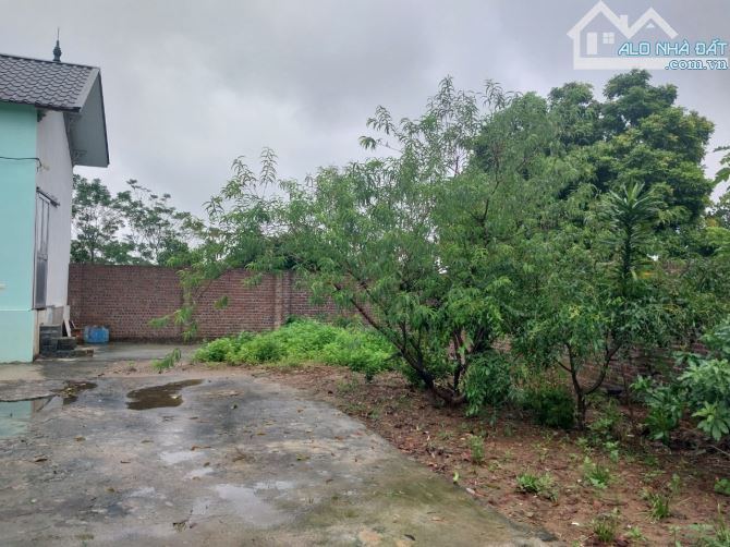 BÁN GẤP LÔ ĐẤT CÓ DT THỰC 1000m2 (100m2 ONT) SẴN NHÀ CẤP 4 CHỈ CÁCH ĐƯỜNG ĐÔNG DƯƠNG 100m - 8