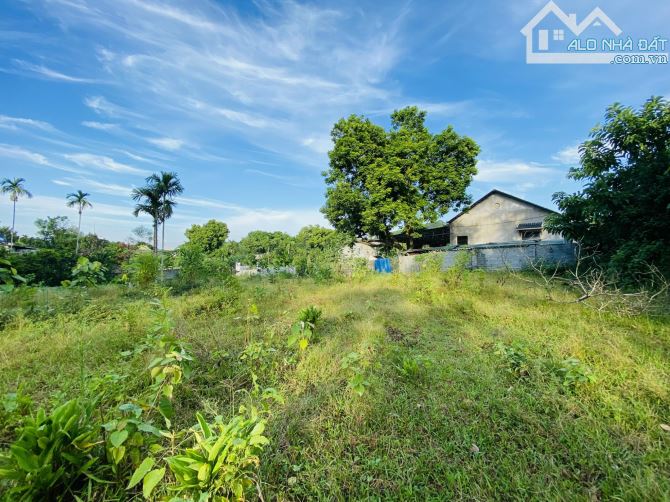 BÁN GẤP LÔ ĐẤT CÓ DT 1453m2 Ở TÂN VINH CÁCH DỰ ÁN LEGACY HLL 500m NẰM TRONG KHU VỰC TRĐIỂM