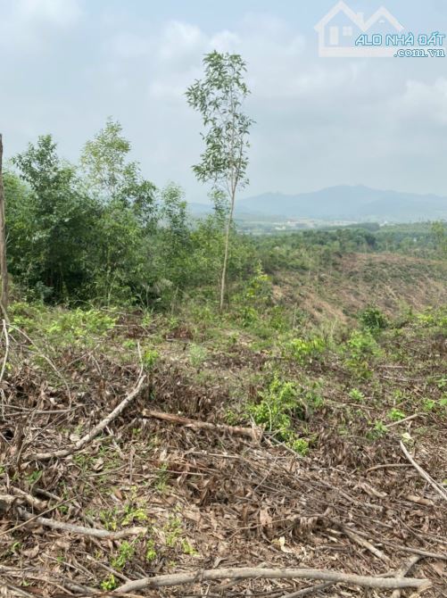 4 tỷ 8 - Diên thọ - Diên Khánh - Khánh Hòa  - Diện tích 48736m2 có 3 sổ - 1