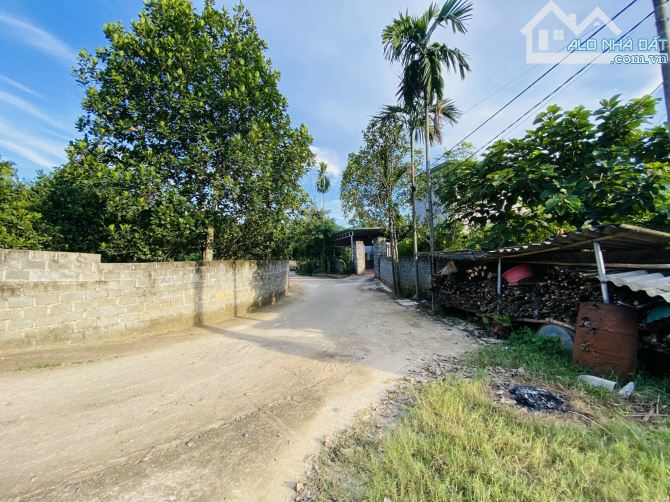 BÁN GẤP LÔ ĐẤT CÓ DT 1453m2 Ở TÂN VINH CÁCH DỰ ÁN LEGACY HLL 500m NẰM TRONG KHU VỰC TRĐIỂM - 12