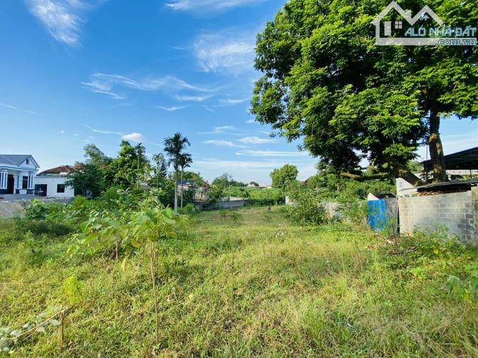 BÁN GẤP LÔ ĐẤT CÓ DT 1453m2 Ở TÂN VINH CÁCH DỰ ÁN LEGACY HLL 500m NẰM TRONG KHU VỰC TRĐIỂM - 2