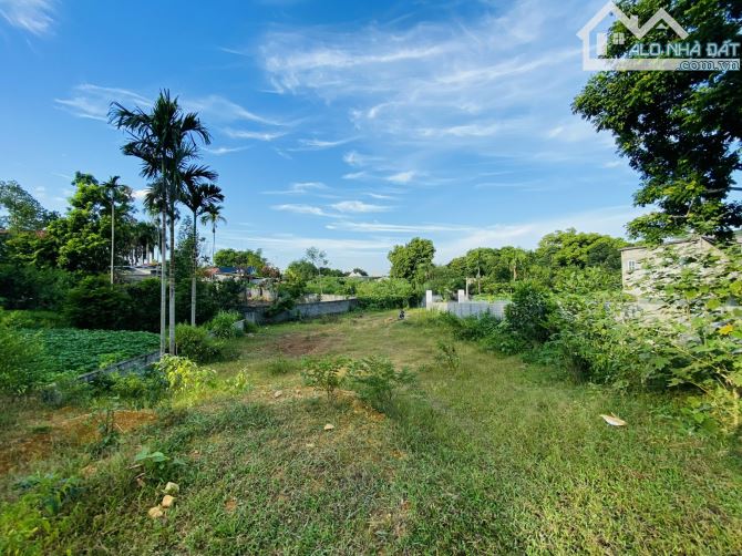 BÁN GẤP LÔ ĐẤT CÓ DT 1453m2 Ở TÂN VINH CÁCH DỰ ÁN LEGACY HLL 500m NẰM TRONG KHU VỰC TRĐIỂM - 3