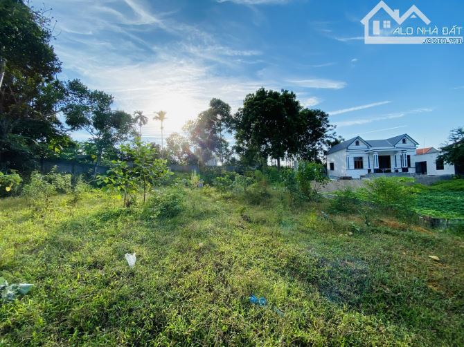 BÁN GẤP LÔ ĐẤT CÓ DT 1453m2 Ở TÂN VINH CÁCH DỰ ÁN LEGACY HLL 500m NẰM TRONG KHU VỰC TRĐIỂM - 5