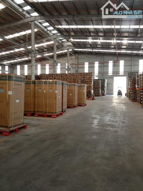 Cho thuê kho xưởng 2500m2 và 7800m2 tại KCN Quang Minh, Mê Linh, Hà Nội - 1
