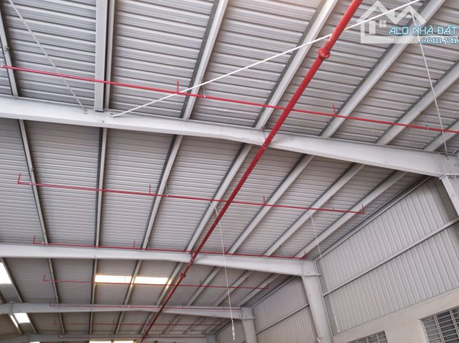 Cho thuê kho đẹp từ 2500-3500m2 khu vực An Lão, Hải Phòng - 1