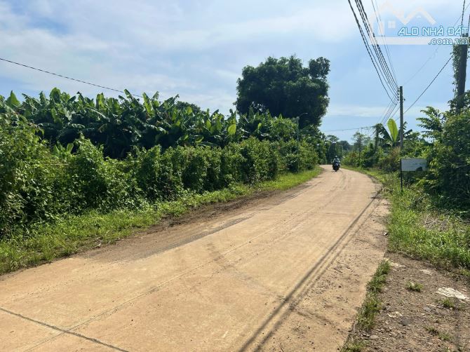 ✨ 02 lô: 5.7x40m (FULL ONT). Mặt tiền đường Bê tông rộng 6M, Ô tô chạy vi vu - 469 Tr/lô - 1