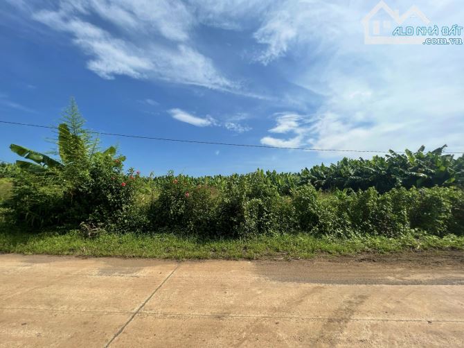 ✨ 02 lô: 5.7x40m (FULL ONT). Mặt tiền đường Bê tông rộng 6M, Ô tô chạy vi vu - 469 Tr/lô - 2