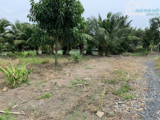 1,24 tỷ/1180m2 (1tr050/m2) Vĩnh Thanh đường xe hơi, ngay dân cư, điện nước có sẵn, SHR - 2