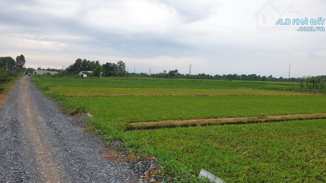 1,24 tỷ/1180m2 (1tr050/m2) Vĩnh Thanh đường xe hơi, ngay dân cư, điện nước có sẵn, SHR - 3