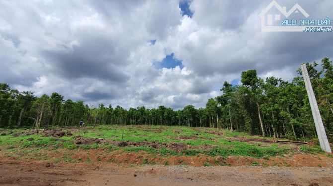 Cần bán 2.749m2 mặt tiền đường vành đai, view hồ Sông Ray tuyệt đẹp - 2