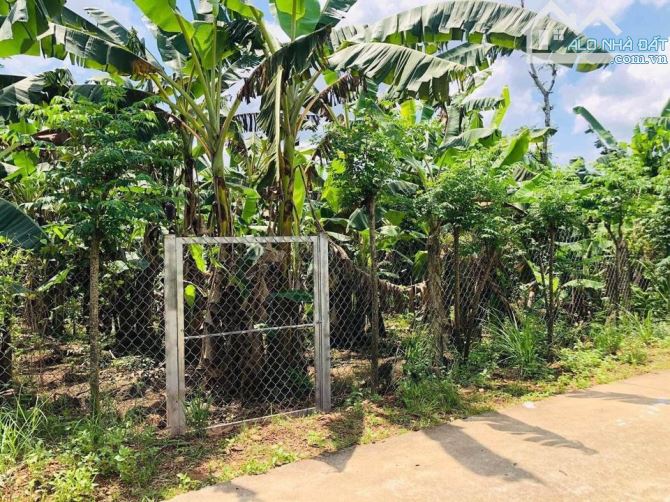 BÁN LÔ BIỆT THƯ VƯỜN NGAY KHU CÔNG NGHIỆP ĐỊNH QUÁN 1210M2(21MX58M) CÓ 200M2 THỔ CƯ 1TY250 - 3
