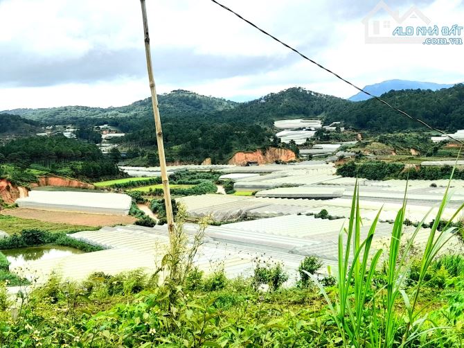 Bán đất 2 mặt tiền view rừng thông trung tâm Đà Lạt, sổ riêng 1450m đất sạch - 1