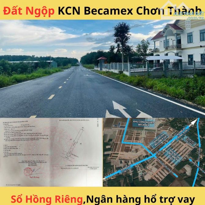 Vỡ nợ  cần bán gấp miếng đất sát TTHC thị xã Chơn Thành, giá rẻ hơn thị trường