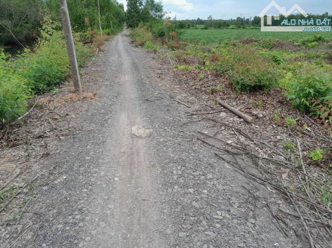 13.193 đất vườn giá 4,4 tỷ mặt tiền kênh B7 Thạnh lợi Bến Lức Long An ( ngộp) - 1