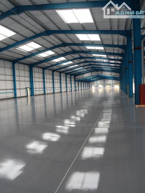 BÁN LÔ GÓC GẦN 8000M2 ĐẤT SÁT BIỂN TRUNG TÂM QUẬN SƠN TRÀ ĐÀ NẴNG GIẢM SÓC CHỈ CÒN 230 TỶ - 1