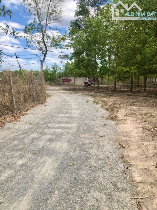 ✨ 10x21.5m (100m2 ONT), đường trải đá mi rộng 4.5M, KDC đông đúc, đủ mọi tiện ích - 1.7 Tỷ
