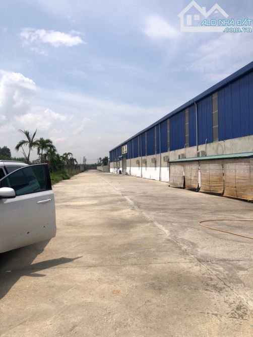 Cho thuê kho xưởng 2500m2, 5000m2, 10000m2 QL 51, Long An, Long Thành, Đồng Nai - 3