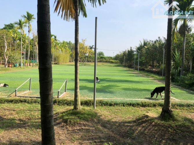 Cần bán đất + nhà vườn nghĩ dưỡng xã Trung An Củ Chi 7764m2 300m2 thổ - 3