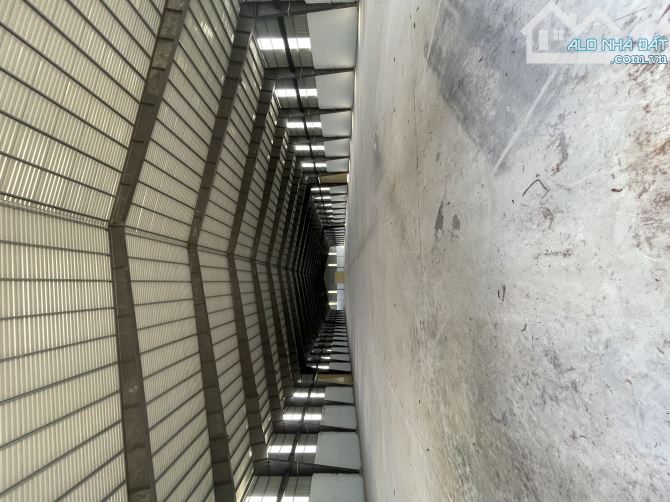 Cho thuê kho xưởng 2500m2, 5000m2, 10000m2 QL 51, Long An, Long Thành, Đồng Nai - 5