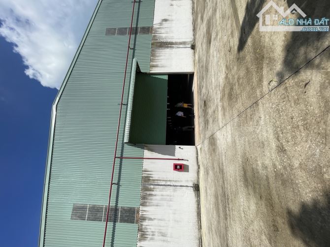 Cho thuê kho xưởng 2500m2, 5000m2, 10000m2 QL 51, Long An, Long Thành, Đồng Nai - 6