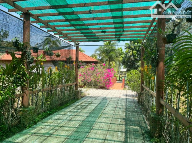 Cần bán đất + nhà vườn nghĩ dưỡng xã Trung An Củ Chi 7764m2 300m2 thổ - 8