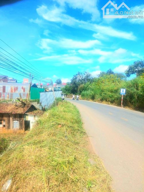 Bán đất mặt tiền view đẹp trung tâm P5 Đà Lạt, sổ riêng 440m thổ cư sát làng hoa vạn thành - 1