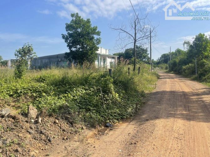 BÁN ĐẤT 1 SẸC QUỐC LỘ 20 DT:2052M2(50mX40m) KHU DÂN CƯ CÁCH QUỐC LỘ 20 CHỈ 700M CHỈ 1TY25 - 2