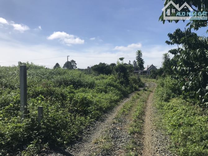 20x40m Phan châu Trinh Lộc Tiến Bảo Lộc. giá rẻ - 2
