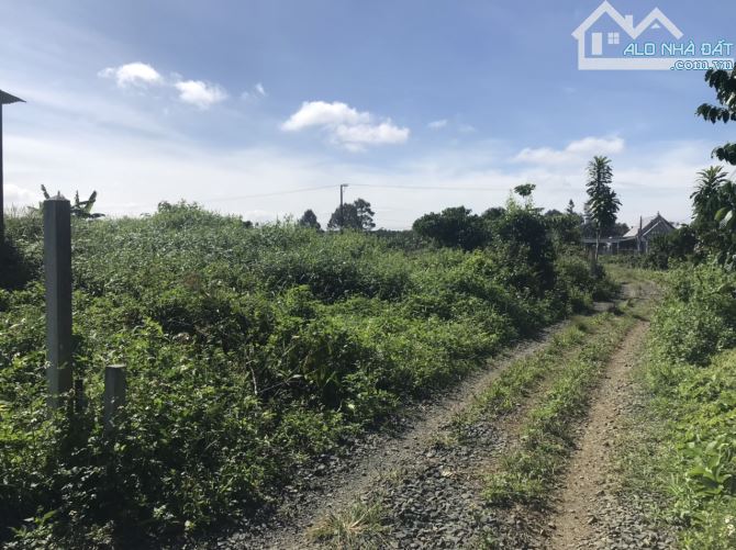 20x40m Phan châu Trinh Lộc Tiến Bảo Lộc. giá rẻ - 3