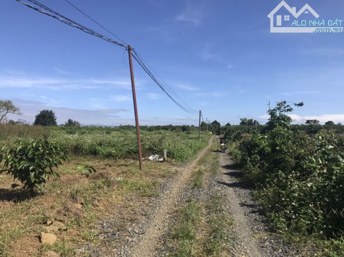 20x40m Phan châu Trinh Lộc Tiến Bảo Lộc. giá rẻ - 4