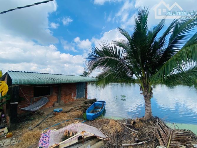 BÁN MĂT TIỀN NHỰA 328 SÔNG RAY CẨM MỸ ĐỒNG NAI, DT 10000MW COA SĂN AO CÁ, GIÁ 3.5 TI - 1