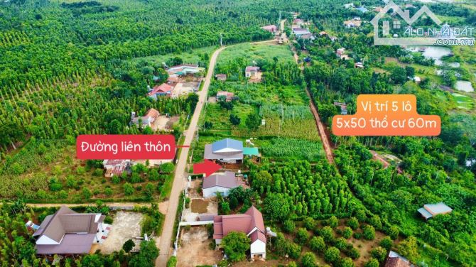Đất thổ cư tại Cư Kuin - Đăk Lăk chỉ 189 triệu - 11