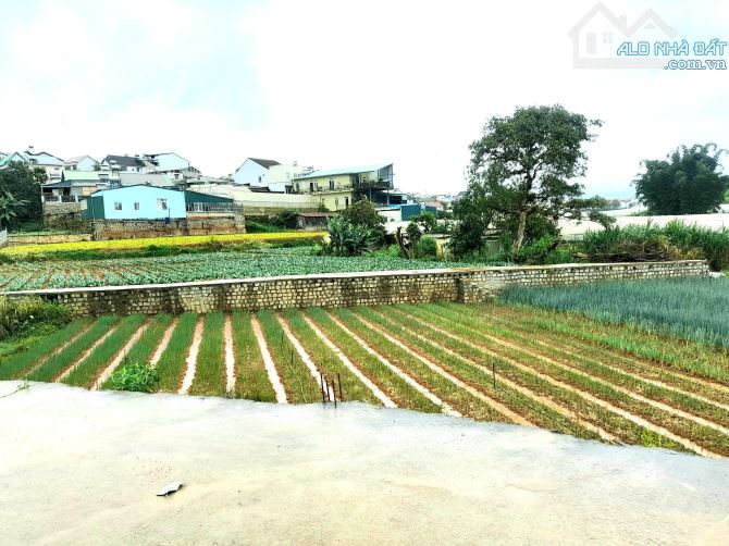 Bán đất hẻm đường Hai Bà Trưng trung tâm Đà Lạt, sổ riêng 1265m - 1