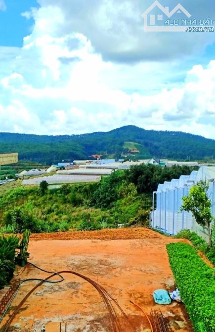 Bán đất 2 mặt tiền view đẹp trung tâm Xuân Thọ, Đà Lạt. Sổ riêng đường xe hơi - 1