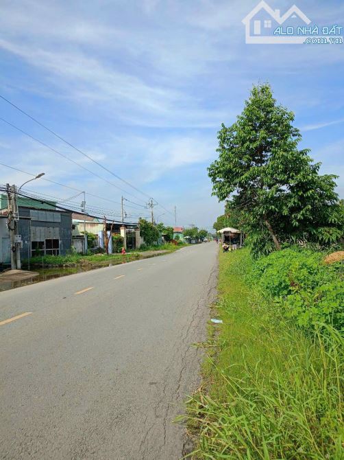 Đất mt đường Châu Thị Kim, xã An Vĩnh Ngãi, TP Tân An - 1