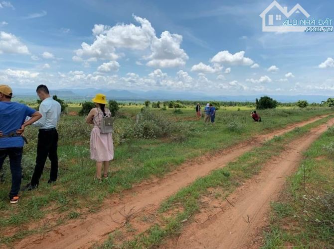 Bán gấp lô đất Vườn Đang Trồng mì