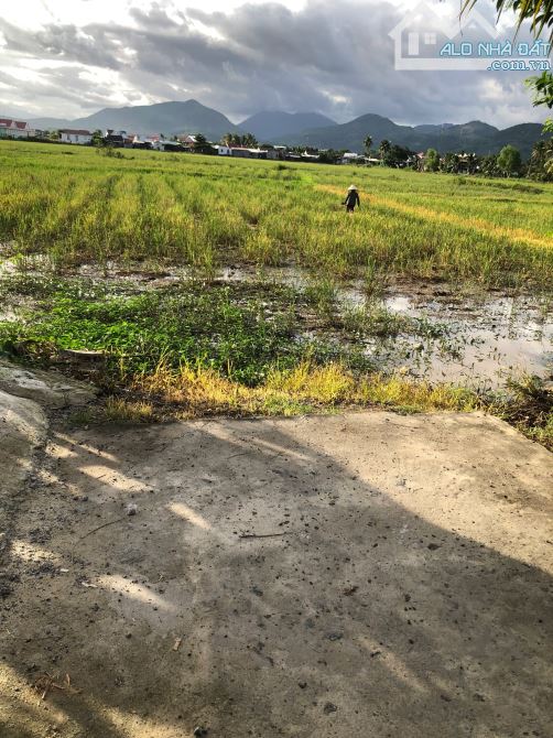 "Bán đất lúa quy hoạch Thổ Cư Diên Điền, Diên Khánh. 1,4t