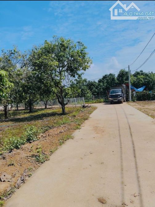 Kẹt quá bán gấp vườn xoài mặt tiền bê tông khu dân cư 5000m2 giá rẻ bèo 1TY480
