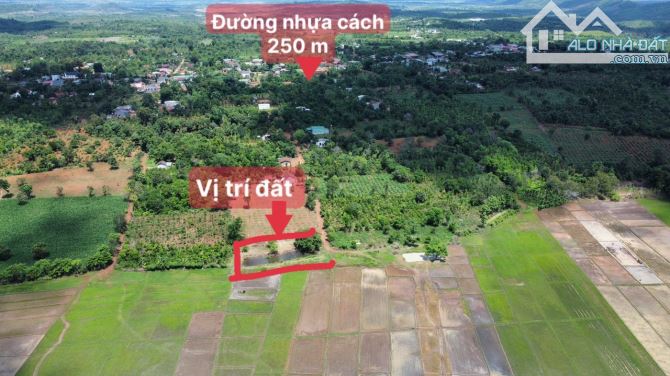 129TRIỆU sở hữu 1.000m2 ĐẤT MẶT TIỀN KHU DÂN CƯ,  CƯ MGAR- DAKLAK - 1