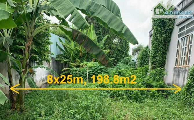 Bán đất đường Võ Văn Bích Củ Chi (1 sẹc), 198m2 (8x25m), sổ riêng xây dựng tự do