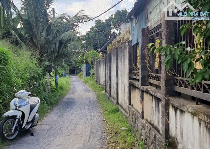 Bán đất đường Võ Văn Bích Củ Chi (1 sẹc), 198m2 (8x25m), sổ riêng xây dựng tự do - 2