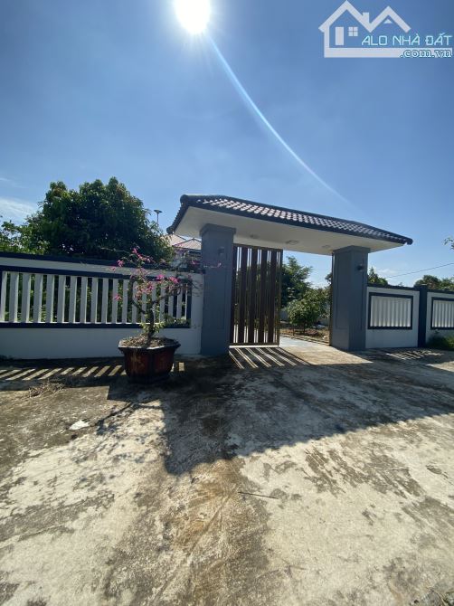 Chị đồng nghiệp nhờ bán lô đất xóm Thái Phúc, xã Nghi Thái, Nghệ An - 3